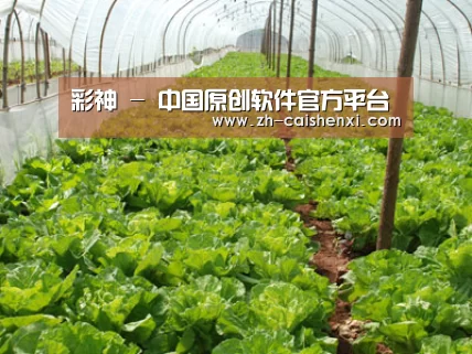 种植基地五