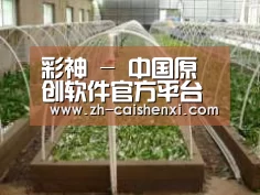 环境展示五