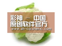 产品名称九