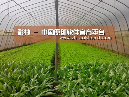 种植基地四