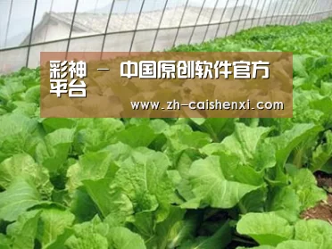 种植基地一