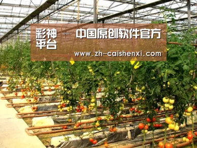 种植基地二