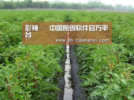 种植基地三