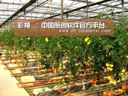 种植基地二(图1)