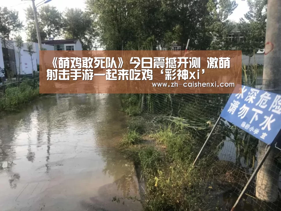 《萌鸡敢死队》今日震撼开测 激萌射击手游一起来吃鸡‘彩神xi’(图3) 彩神xi