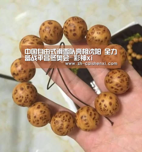 中国自由式滑雪队亮相沈阳 全力备战平昌冬奥会-彩神xi(图1) 彩神xi