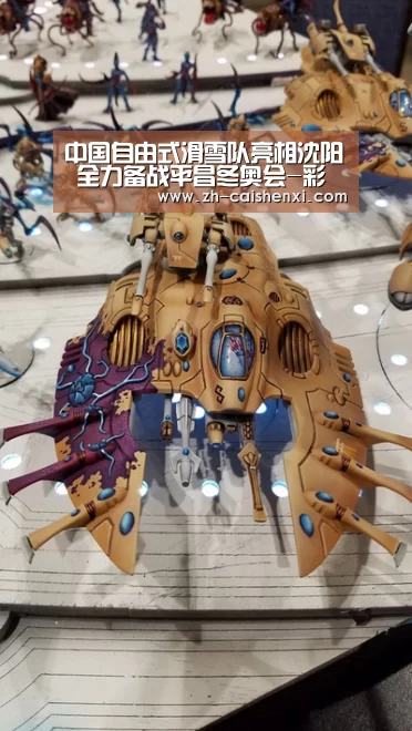 中国自由式滑雪队亮相沈阳 全力备战平昌冬奥会-彩神xi(图4) 彩神xi