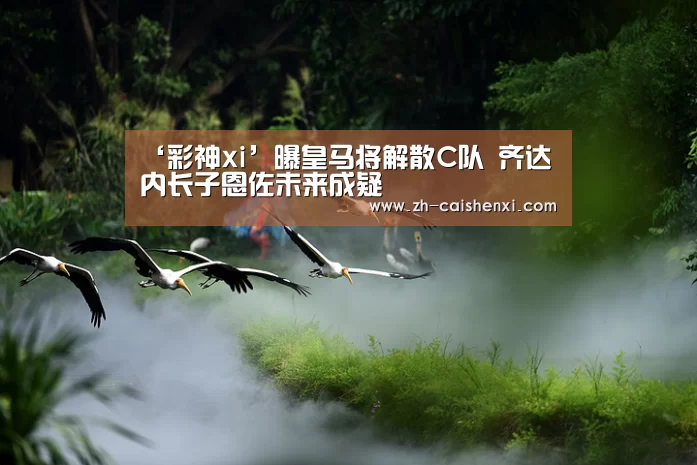 ‘彩神xi’曝皇马将解散C队 齐达内长子恩佐未来成疑(图4) 彩神xi