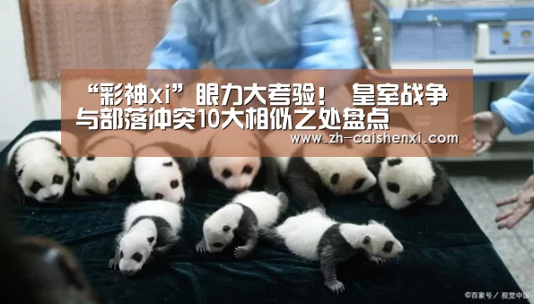 彩神xi